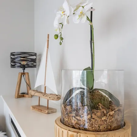 Διαμέρισμα Vandenheuvel - 0406 Middelkerke